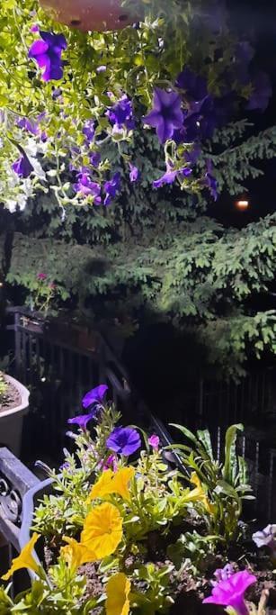 Apartment Kapo- Klima,Parking Saraybosna Dış mekan fotoğraf